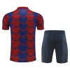 Conjunto (Camiseta+Pantalón Corto) Barcelona Pre-Match 2024-25 - Niño